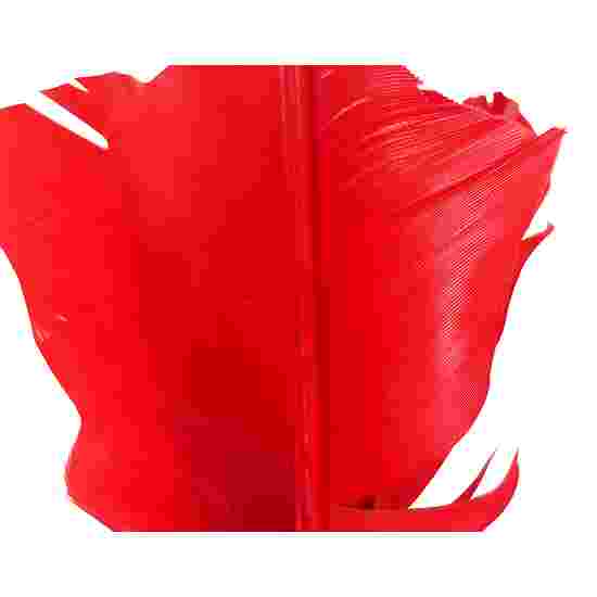 Plume de rechange