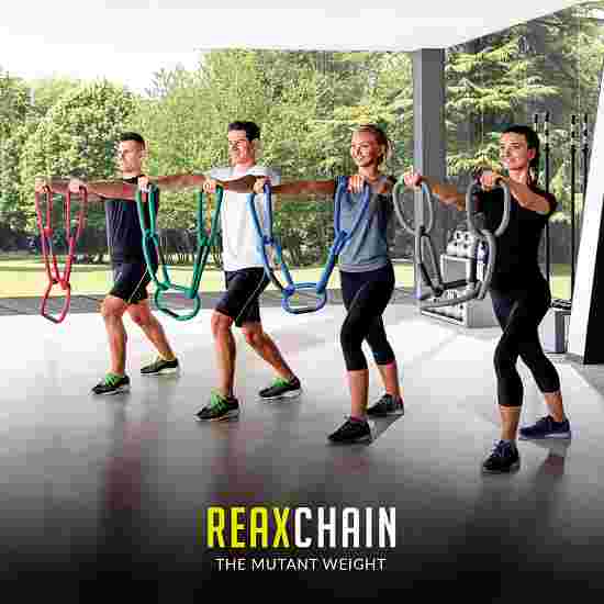 Reaxing Gewichtskettingen &quot;Reax Chain Fit 5&quot; 2 kg, Grijs