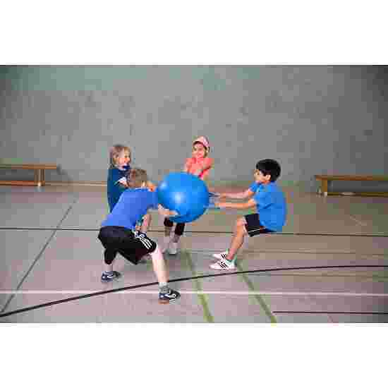 Sport-Thieme Ballon de lutte