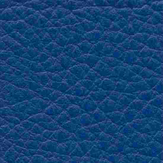 Sport-Thieme Rectangle de positionnement Bleu, 50x45x40 cm