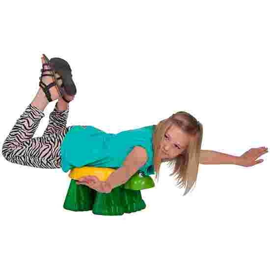 Tortue de gymnastique