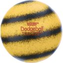 Volley Ballon de dodgeball