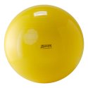 Gymnic Fitnessball ø 75 cm