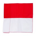 Sport-Thieme Kit de poteaux de délimitation articulés Fanion rouge et blanc