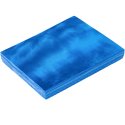 Sport-Thieme Balance Pad "Premium" Blauw
