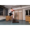 Plyobox Sport-Thieme « Combi » 50x50x15 cm