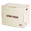 Sport-Thieme Plyobox 'Hout' 40x60x75 cm