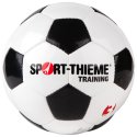 Sport-Thieme Voetbal "Training" Maat 3