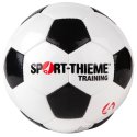 Sport-Thieme Voetbal "Training" Maat 4