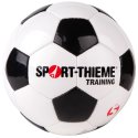 Sport-Thieme Voetbal "Training" Maat 5