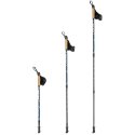 Sport-Thieme Nordic Walking sticks-set "Premium"
