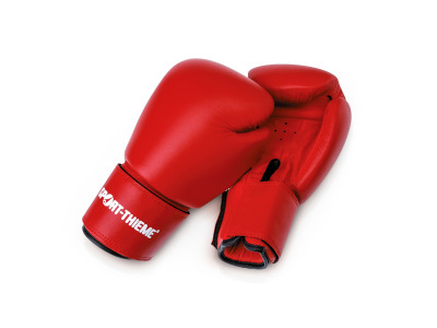 Gant de boxe Sport-Thieme « Workout »