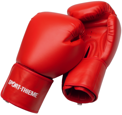 Gant de boxe Sport-Thieme « Knock-Out »