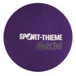 Sport-Thieme Multi-Bal