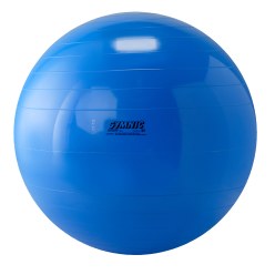 Ballon de gymnastique Gymnic ø 120 cm