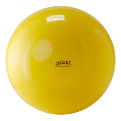 Ballon de fitness Gymnic ø 95 cm
