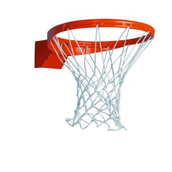 Sport-Thieme Basketbalring "Premium", neerklapbaar