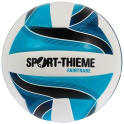 Sport-Thieme volleybal